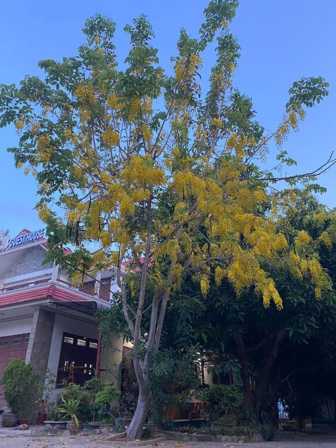 Hoa Bien Guesthouse Mui Ne Bagian luar foto